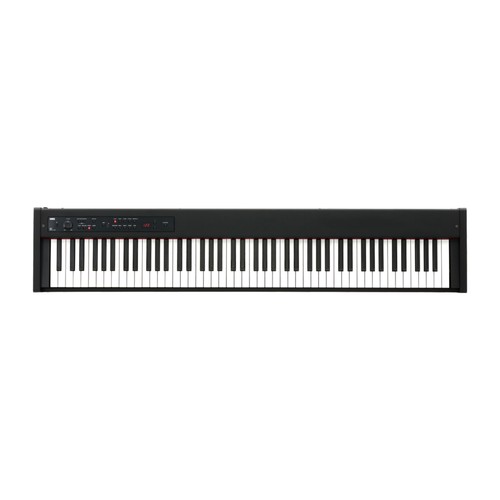 Korg stage piano - stage,