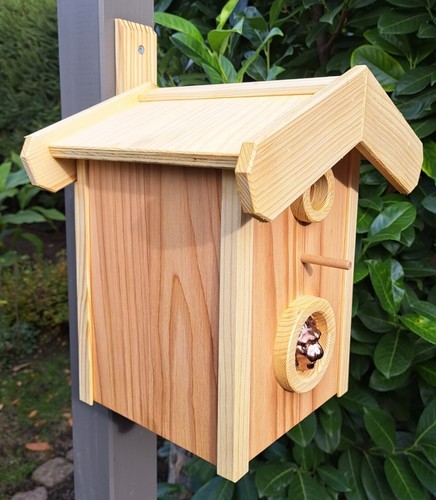 Nistkasten brutkasten - nistkasten,