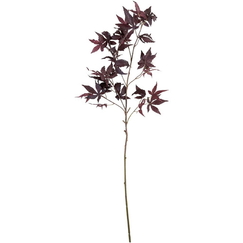 House doctor maple - doctor,