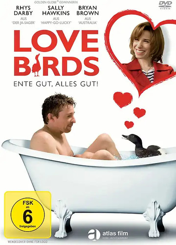Love birds ente - love,