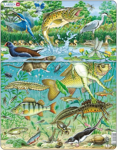 Larsen puzzle heimische - puzzle, tiere