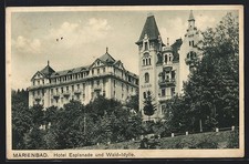 Ansichtskarte Marienbad, Hotel Esplanade und Wald-Idylle 1941 