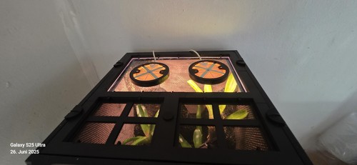 Abdeckung für exo terrarium - für,