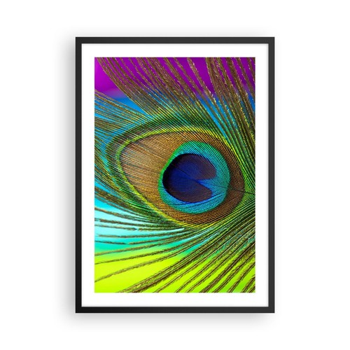 Wandbilder 50x70cm poster - 50x70cm,