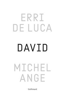 David michel ange - david,, michel-ange:
