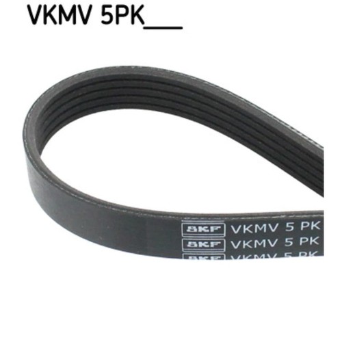 Keilrippenriemen skf vkmv - keilrippenriemen,