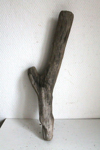 Schwemmholz treibholz - schwemmholz,