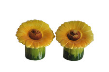 BASSANO KERAMIK  Salz- und