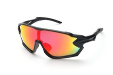 Alpland Sportbrille Skibrille