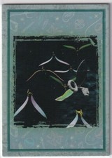 Panini Harry Potter Evolution