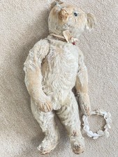 Alter Geliebter weißer Steiff Teddy 35 cm Ca1906-1907 Schuhknopfaugen Old Bear