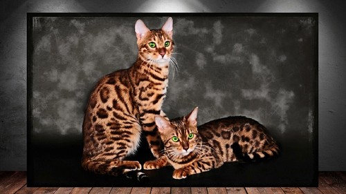 Leinwand bild xxl - leinwand,