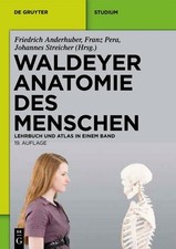 Waldeyer - Anatomie des Menschen: Lehrbuch und Atlas in einem Buch De Gruyter