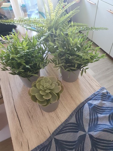 Plastikpflanzen ikea - 4,