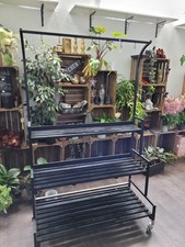 Pflanzenwagen Pflanzentreppe