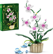 Ideas Orchidee Blumen