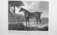 Original alter antiker Druck