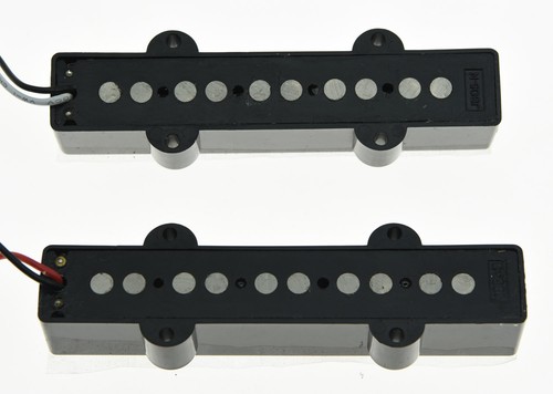 Gut saiter jazz bass alnico - 5-saiter,