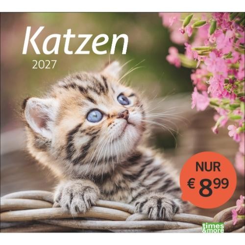 Kalender 2027 katzen - 2027, tm