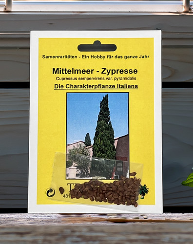 Mittelmeer zypresse samen - mittelmeer,