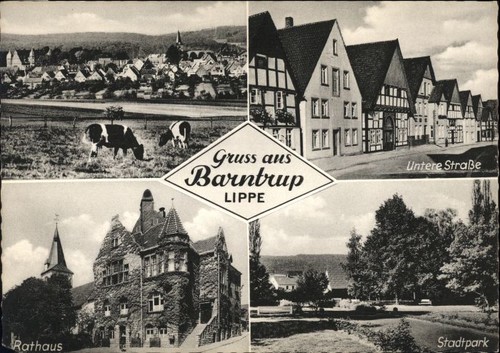 Barntrup - ,
