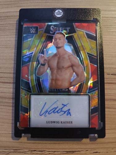 Ludwig kaiser wwe panini - ludwig,