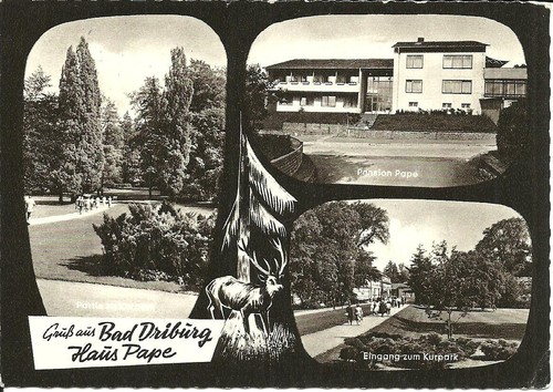 Bad driburg pension haus - driburg,