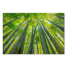 Postereck 3109 Poster Leinwand