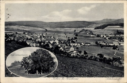 Kothen motten der - motten, röhn