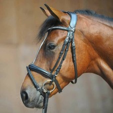 Trensenzaum Fenia II Kavalkade