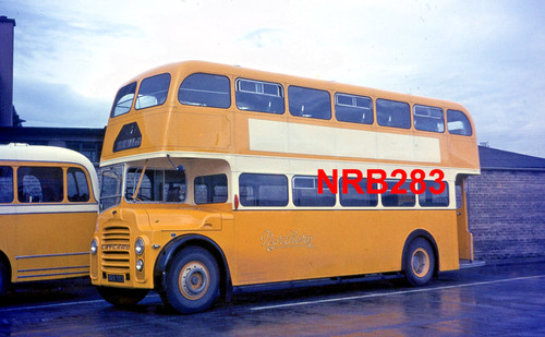 Busdia original - busdia,