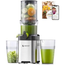 Entsafter Slow Juicer Obst