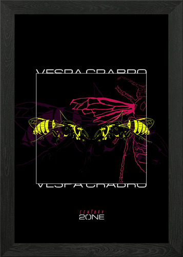 Vespa crabro gerahmtes - vespa,
