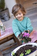 Disana Wabenstrick (Aran)