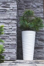 Runder Blumentopf Blumenkübel