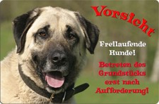 SIVAS KANGAL - A4 Alu Metall