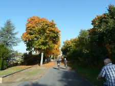 Ferienwohnung Stolzenau Weserradweg Weser Nienburg Steinhuder Meer 