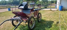 Kutsche Wagonette Topzustand für Großpferde