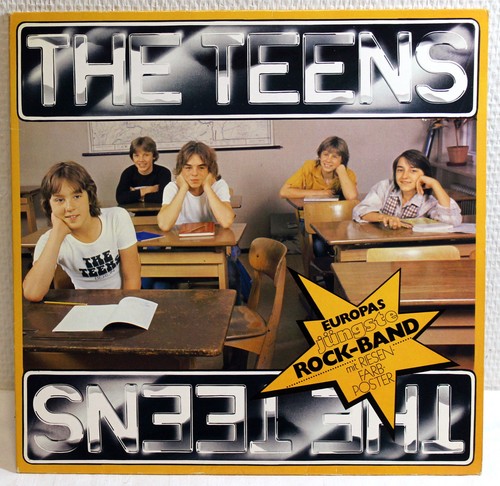 Vinyl the teens - the,