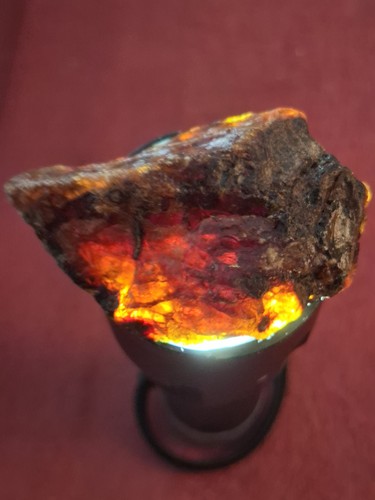 Blauer bernstein aus sumatra - aus,