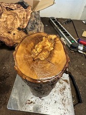 Olivenholz, Olive, zum