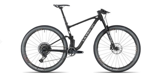 Fahrrad olympia f1x - 29, team