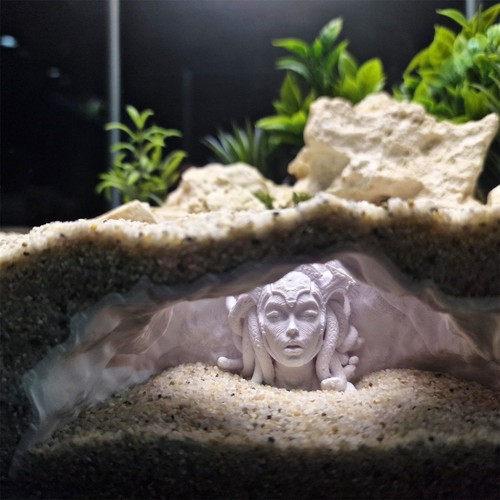 Aquarium höhle dekoration - höhle,
