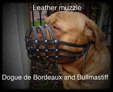 Licht leder hundemaulkorb für - leder,