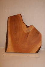 Wunderschönes Kirschbaum -