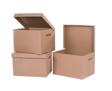 ARCHIVKARTON SCHACHTEL BOX