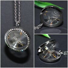 EDELSTAHL Pusteblume Medaillon