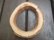 Baumscheibe Astscheibe