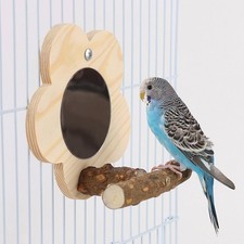 Sitzstange vogelständer mit - vogelständer,
