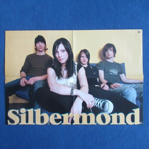 Silbermond poster the - poster, dome